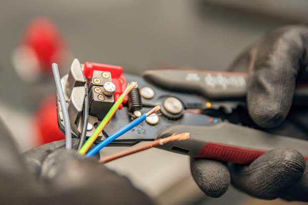 Best Local Electrician Companies  in Hampton Manor, NY