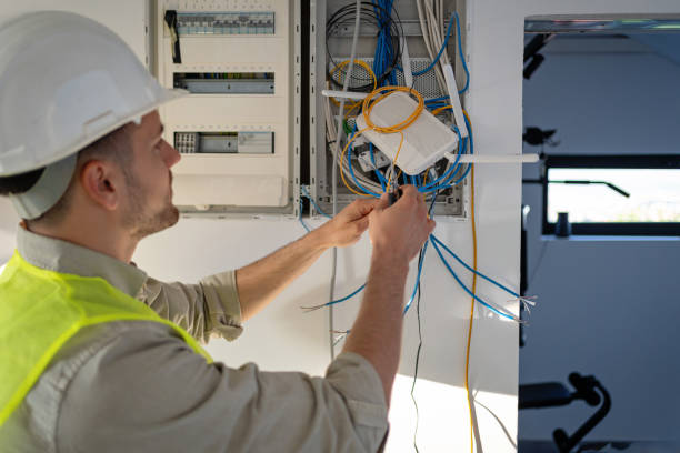 Best Electric Panel Repair  in Hampton Manor, NY